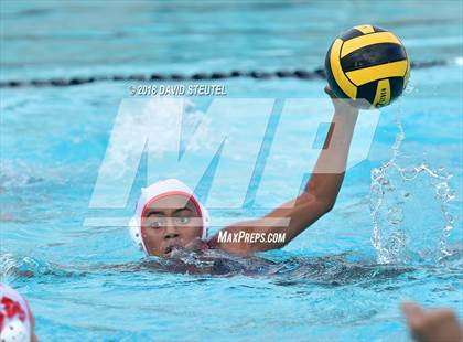 Thumbnail 2 in Antelope @ Inderkum photogallery.