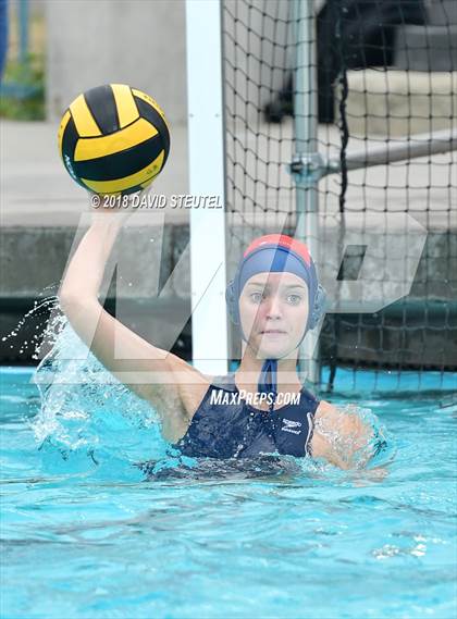 Thumbnail 1 in Antelope @ Inderkum photogallery.