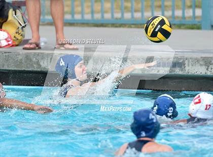Thumbnail 3 in Antelope @ Inderkum photogallery.