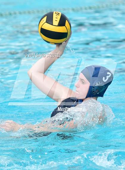 Thumbnail 1 in Antelope @ Inderkum photogallery.