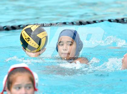 Thumbnail 2 in Antelope @ Inderkum photogallery.