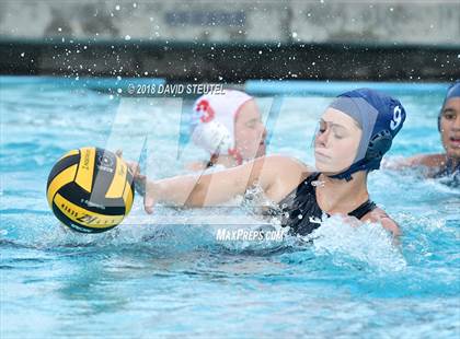 Thumbnail 3 in Antelope @ Inderkum photogallery.