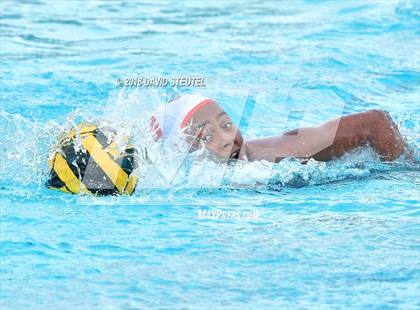 Thumbnail 1 in Antelope @ Inderkum photogallery.