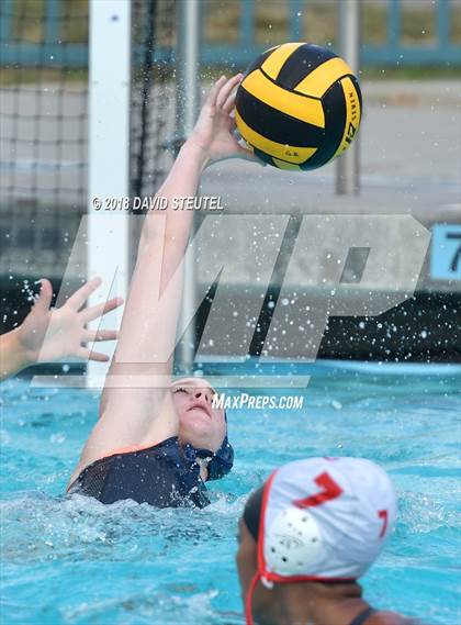 Thumbnail 1 in Antelope @ Inderkum photogallery.