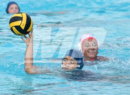 Thumbnail 2 in Antelope @ Inderkum photogallery.