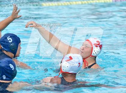Thumbnail 3 in Antelope @ Inderkum photogallery.