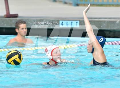 Thumbnail 3 in Antelope @ Inderkum photogallery.