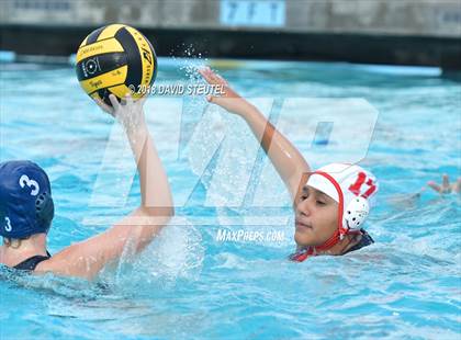 Thumbnail 3 in Antelope @ Inderkum photogallery.