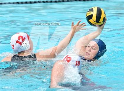 Thumbnail 3 in Antelope @ Inderkum photogallery.