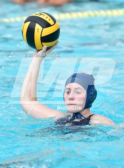 Thumbnail 2 in Antelope @ Inderkum photogallery.