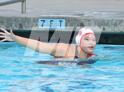 Thumbnail 2 in Antelope @ Inderkum photogallery.