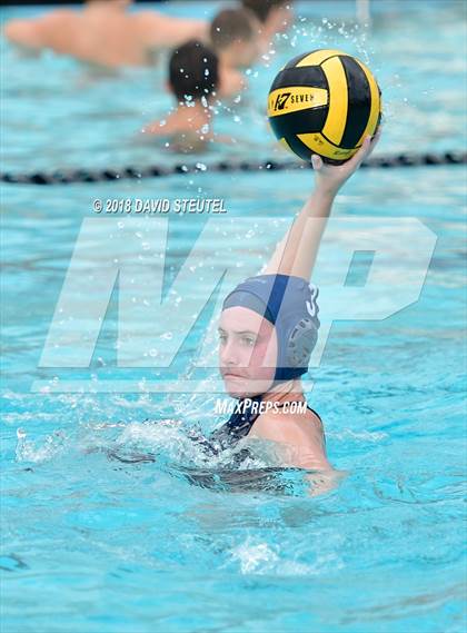 Thumbnail 3 in Antelope @ Inderkum photogallery.