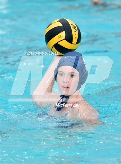 Thumbnail 3 in Antelope @ Inderkum photogallery.
