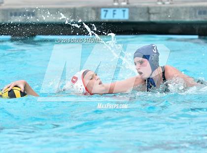 Thumbnail 1 in Antelope @ Inderkum photogallery.