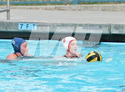 Thumbnail 1 in Antelope @ Inderkum photogallery.