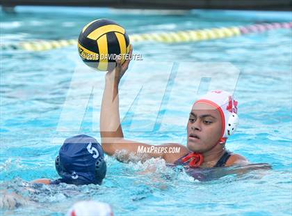 Thumbnail 3 in Antelope @ Inderkum photogallery.
