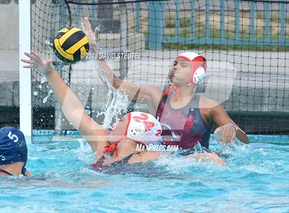 Thumbnail 3 in Antelope @ Inderkum photogallery.