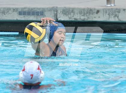 Thumbnail 3 in Antelope @ Inderkum photogallery.