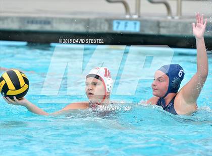 Thumbnail 1 in Antelope @ Inderkum photogallery.