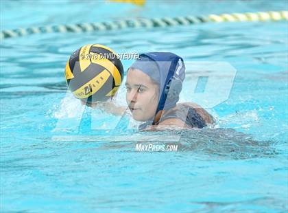 Thumbnail 3 in Antelope @ Inderkum photogallery.
