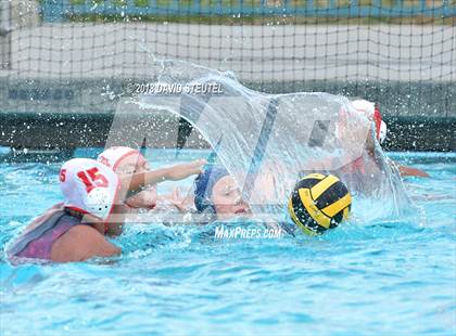 Thumbnail 3 in Antelope @ Inderkum photogallery.