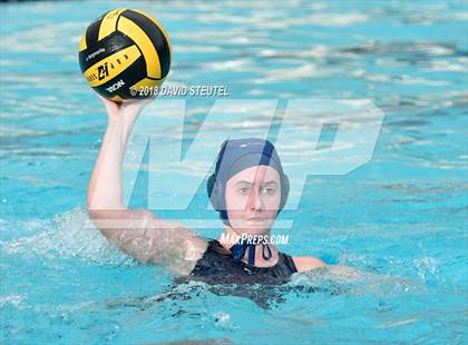 Thumbnail 3 in Antelope @ Inderkum photogallery.
