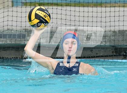 Thumbnail 2 in Antelope @ Inderkum photogallery.