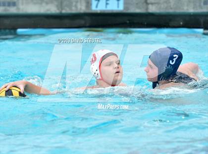 Thumbnail 3 in Antelope @ Inderkum photogallery.