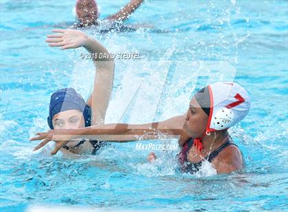 Thumbnail 2 in Antelope @ Inderkum photogallery.
