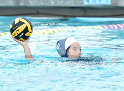 Thumbnail 2 in Antelope @ Inderkum photogallery.
