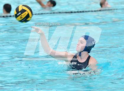 Thumbnail 1 in Antelope @ Inderkum photogallery.