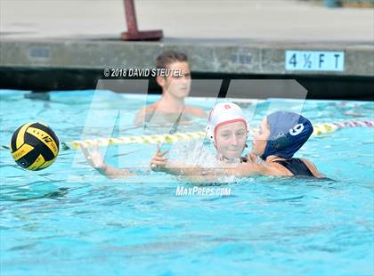 Thumbnail 1 in Antelope @ Inderkum photogallery.