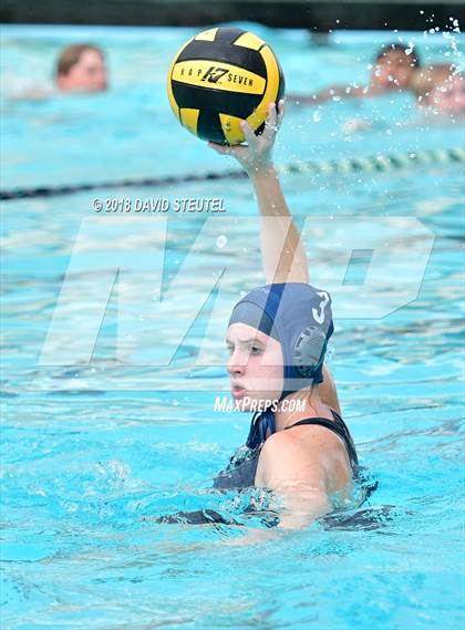 Thumbnail 3 in Antelope @ Inderkum photogallery.