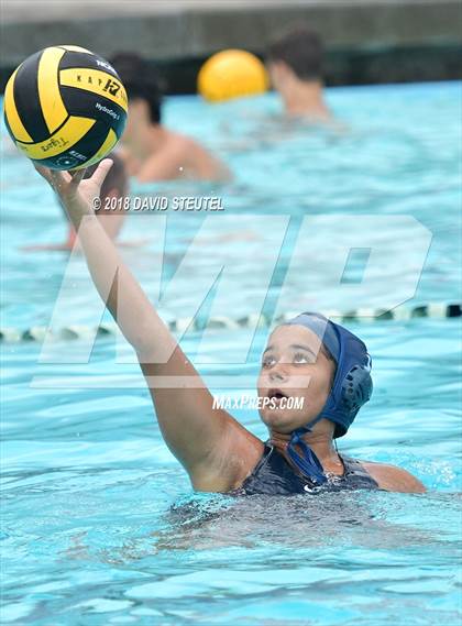 Thumbnail 3 in Antelope @ Inderkum photogallery.