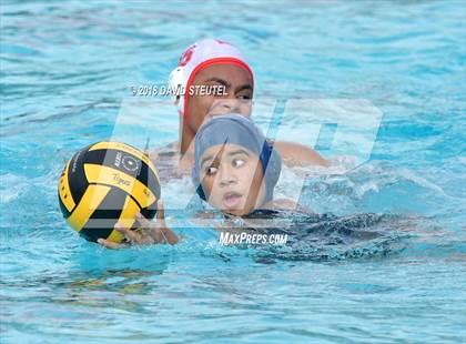 Thumbnail 1 in Antelope @ Inderkum photogallery.