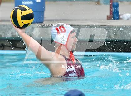 Thumbnail 1 in Antelope @ Inderkum photogallery.