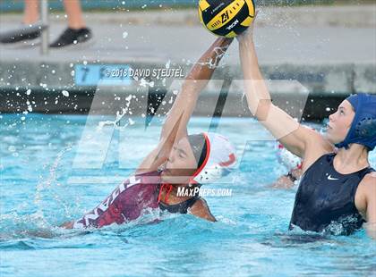 Thumbnail 1 in Antelope @ Inderkum photogallery.