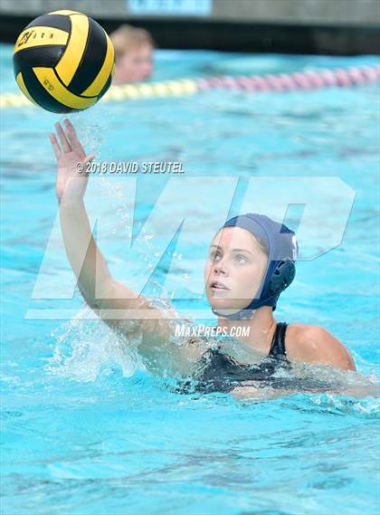 Thumbnail 2 in Antelope @ Inderkum photogallery.
