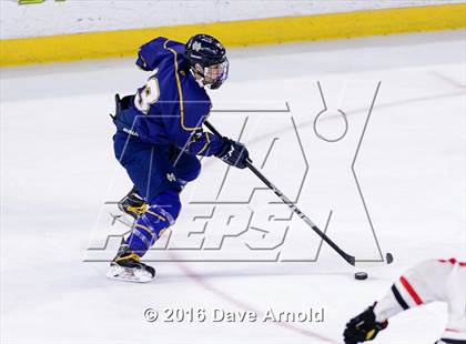 Thumbnail 3 in Malden Catholic vs Pope Francis (MIAA Division 1A Semifinal) photogallery.
