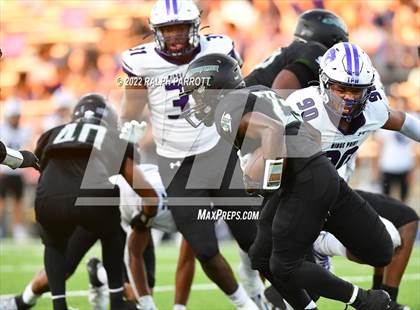 Thumbnail 1 in Ridge Point @ Fort Bend Hightower photogallery.