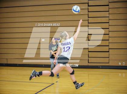 Thumbnail 1 in Lawrence vs. Decatur (SAC Tournament) photogallery.
