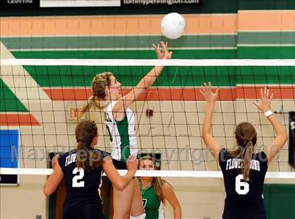 Thumbnail 1 in Flower Mound @ Carroll photogallery.