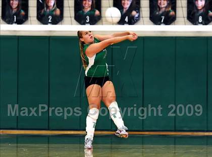 Thumbnail 1 in Flower Mound @ Carroll photogallery.