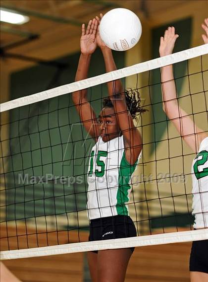 Thumbnail 1 in Flower Mound @ Carroll photogallery.
