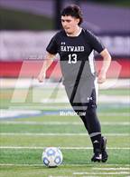 Photo from the gallery "Kennedy @ Hayward"