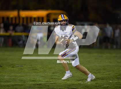 Thumbnail 1 in Columbia @ Buchholz photogallery.