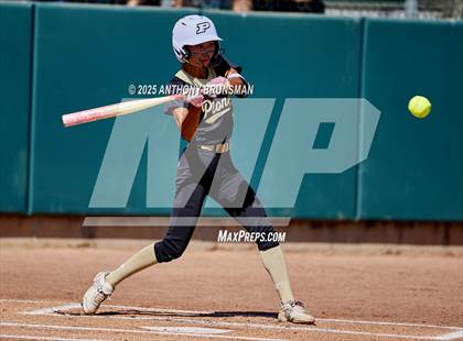 Thumbnail 3 in Destiny Christian Academy vs. Pioneer (CIF SJS D4 Final) photogallery.