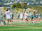 Photo from the gallery "Redwood @ San Marin"