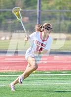 Photo from the gallery "Redwood @ San Marin"