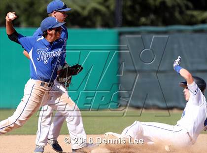 Thumbnail 3 in Analy vs. Acalanes (CIF NCS D3 Final) photogallery.